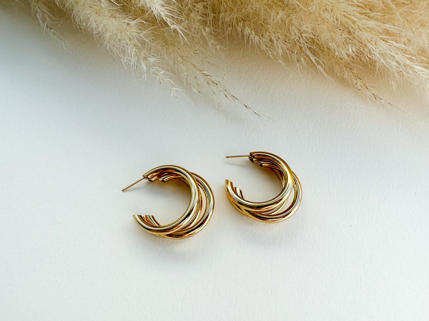 Rachel Hoops